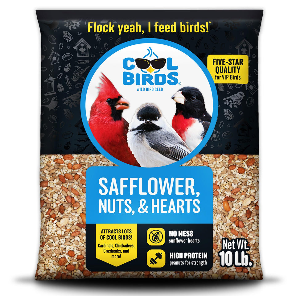 Cool Birds safflower seed bowl attracts cardinals and finches
