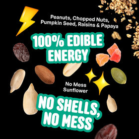 COOL BIRDS shelled peanuts detail: dense protein source attracting chickadees and finches.