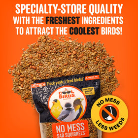 Cool Birds spicy shell-free blend close-up highlighting sunflower hearts and peanuts.