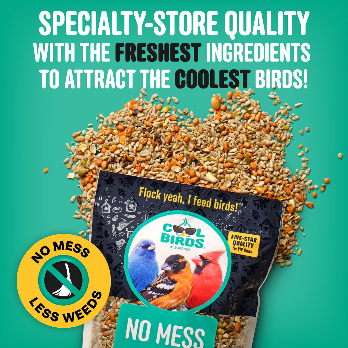 COOL BIRDS sunflower hearts close-up: premium, hull-free ingredients ready for high-energy feeding.