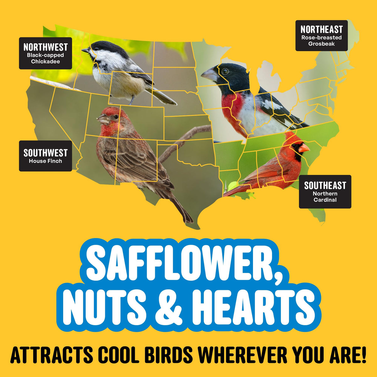 Cool Birds ten-pound gourmet seed for outdoor feeders