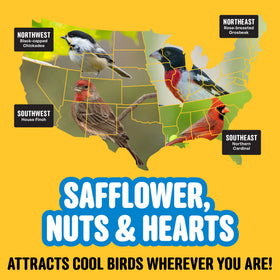 Cool Birds ten-pound gourmet seed for outdoor feeders