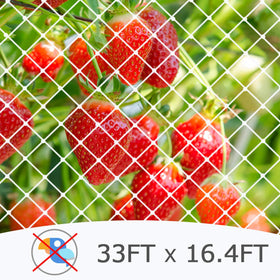 Coolrunner garden netting in action protecting vegetables and berries.