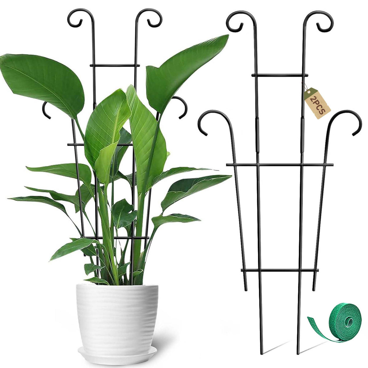 Coomin 23in tall trellis supports indoor climbing plants for upright growth.
