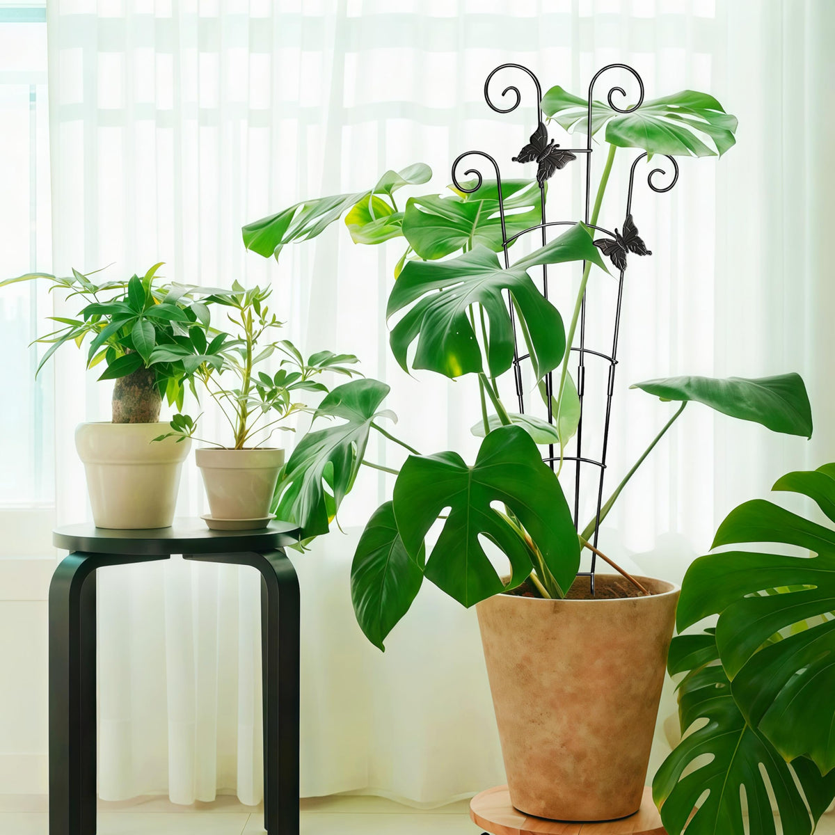 COOMIN 30-40 lb capacity supports sizable plants