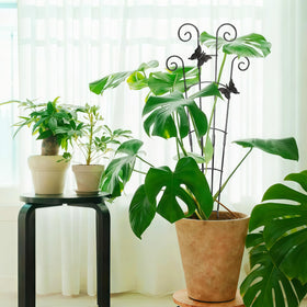 COOMIN 30-40 lb capacity supports sizable plants