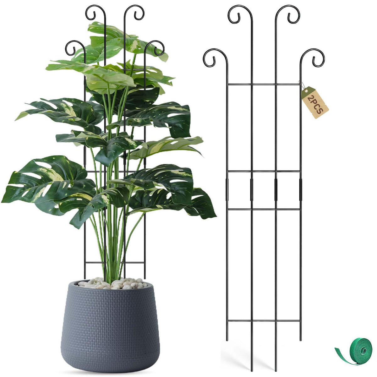 Coomin 32.6in Monstera stake assembly enables quick, tool-free trellis setup.