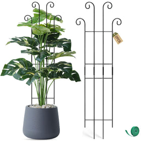 Coomin 32.6in Monstera stake assembly enables quick, tool-free trellis setup.