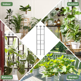 Coomin expandable plant trellis adapts as plants grow taller.