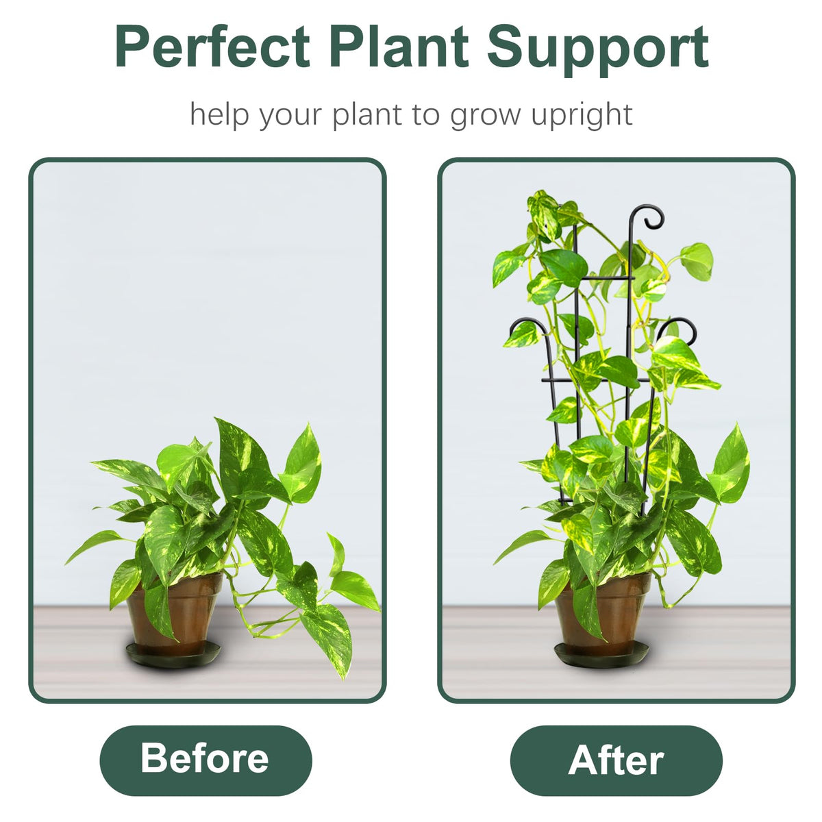 Coomin houseplant trellis with ties helps pothos wrap neatly around the frame.
