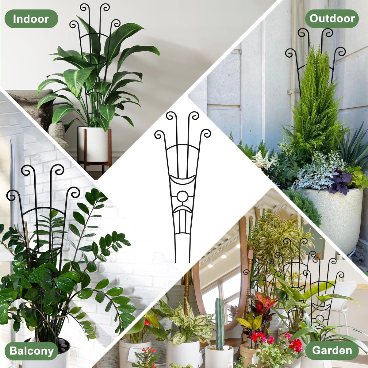 Supports a range of climbing plants like monstera, pothos, and philodendron.