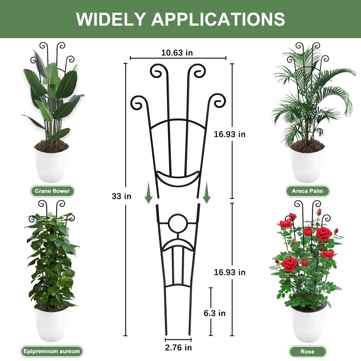 Coomin metal trellis offers durable, rust-resistant support for climbing plants.