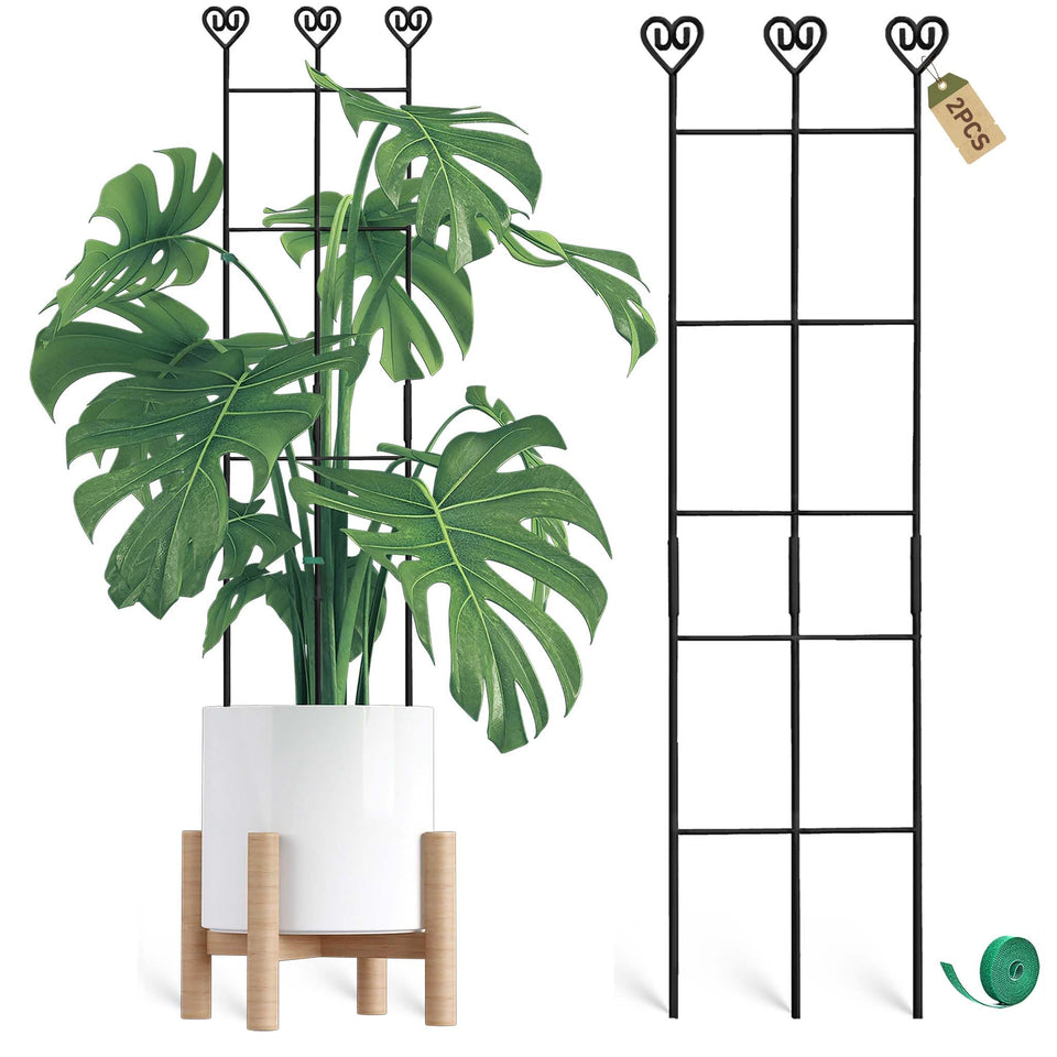 Coomin Monstera 32in stake supports lush vines for a neat indoor display.