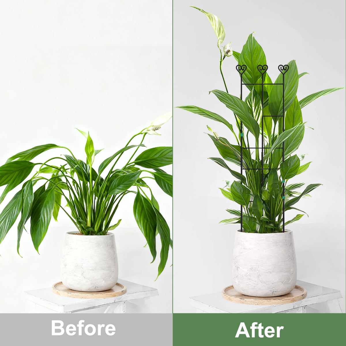 Coomin soft ties roll secures stems gently without damage.