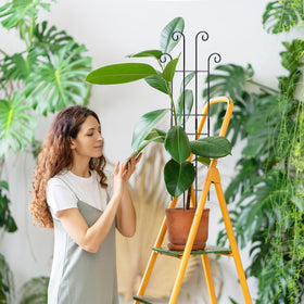 Coomin sturdy indoor trellis demonstrates durable, rust-resistant stakes for climbing plants.