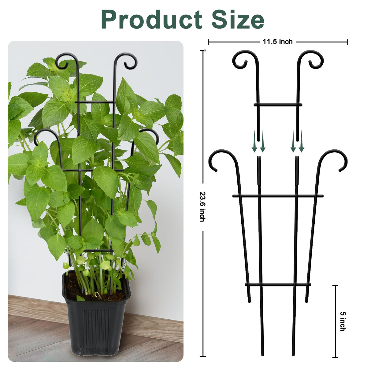 Coomin sturdy metal trellis resists bending for durable indoor or outdoor use.