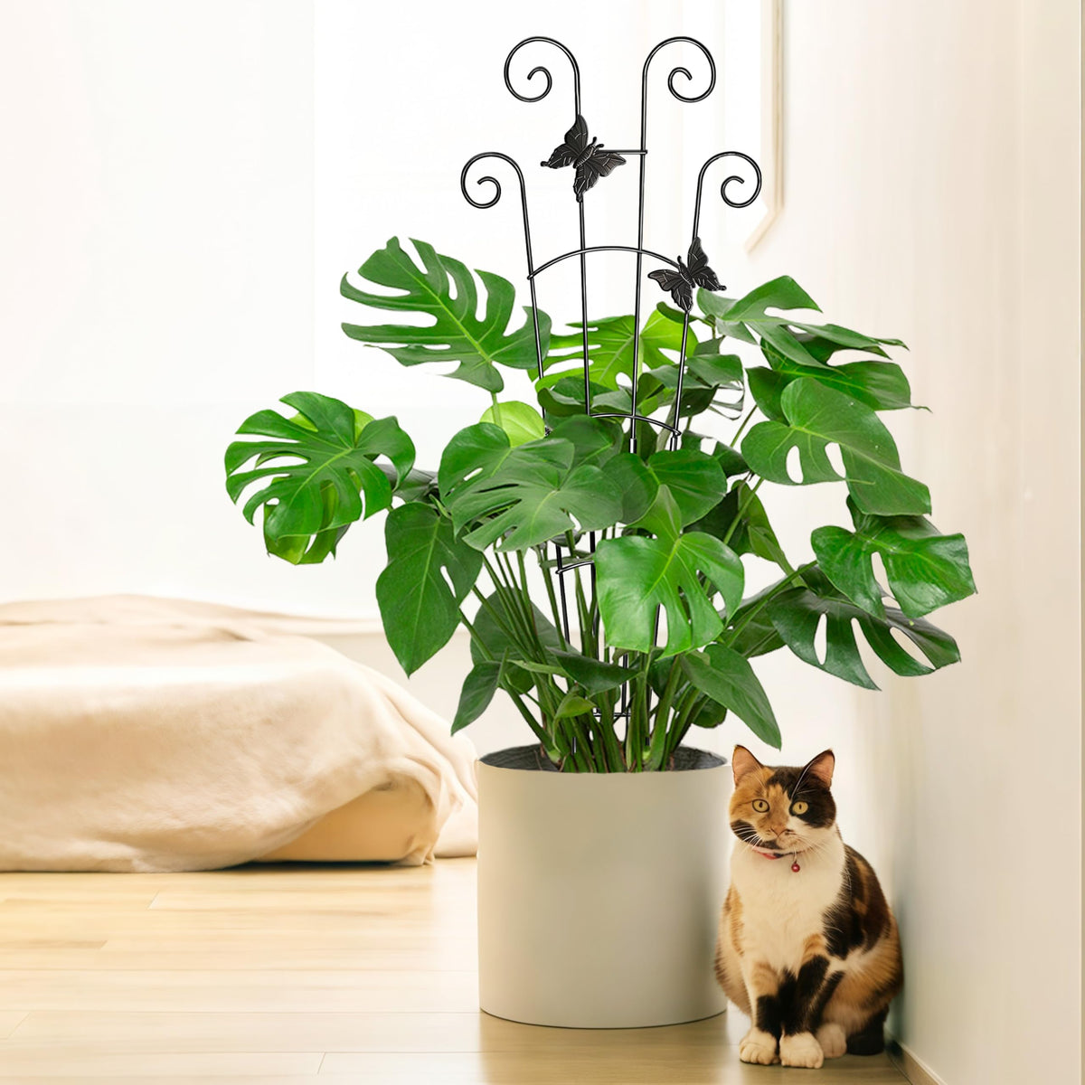 COOMIN tool-free assembly simplifies setup for indoor or outdoor use