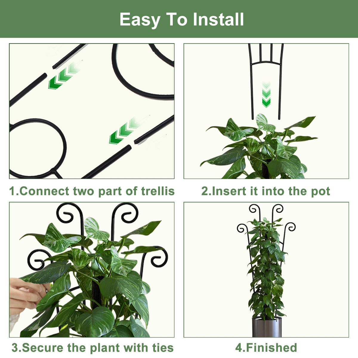 No-tools assembly makes setup quick for beginners and seasoned plant parents.