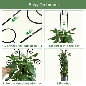 No-tools assembly makes setup quick for beginners and seasoned plant parents.