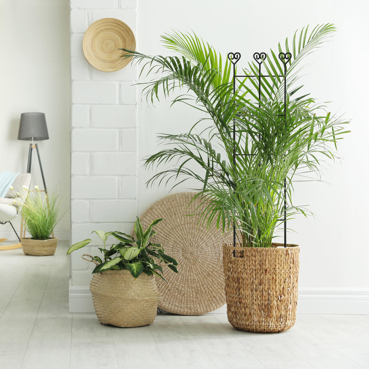 Coomin universal pot compatibility fits most indoor and outdoor planters.