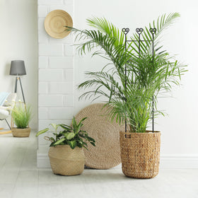 Coomin universal pot compatibility fits most indoor and outdoor planters.