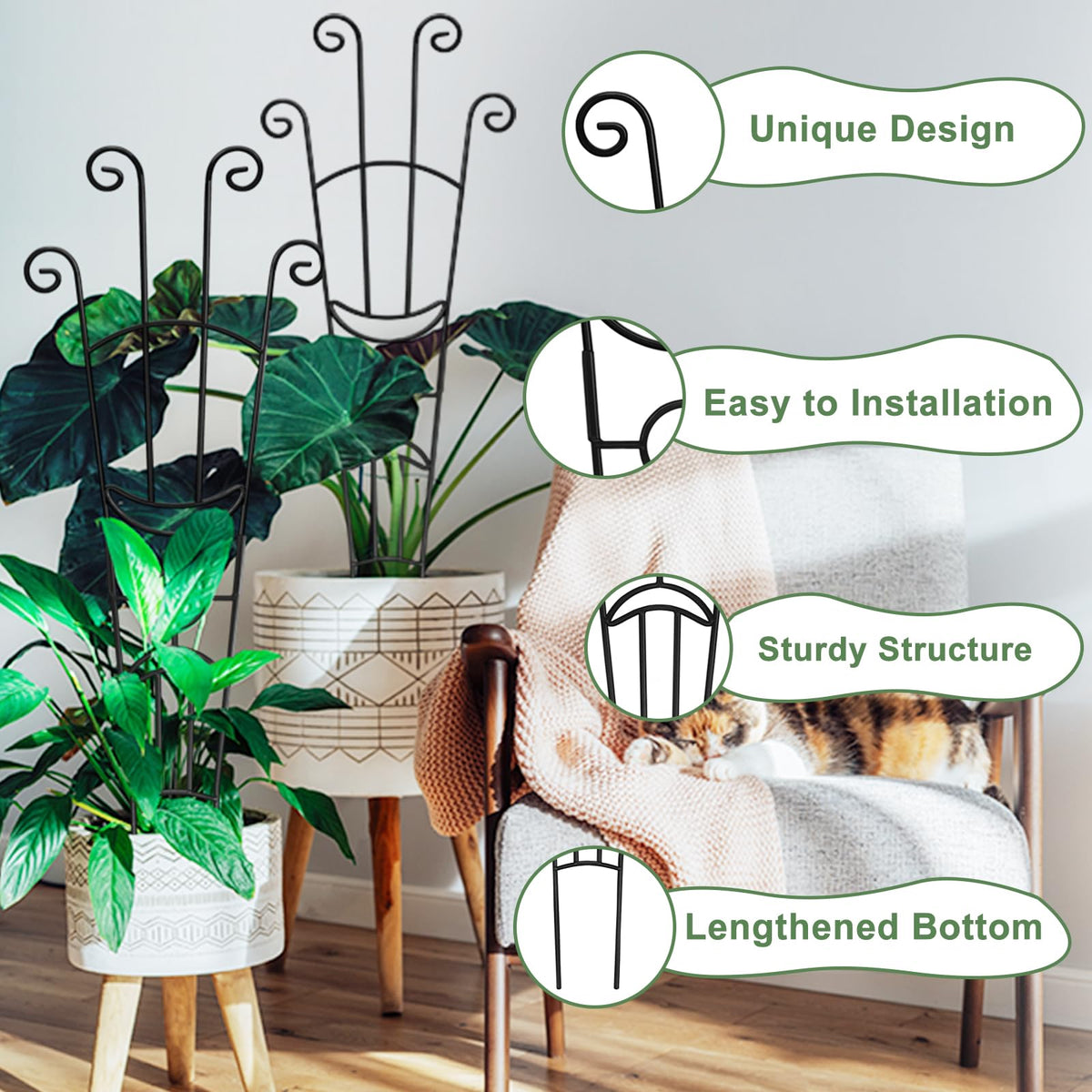 Fits in most pots, blending with living spaces and office areas.