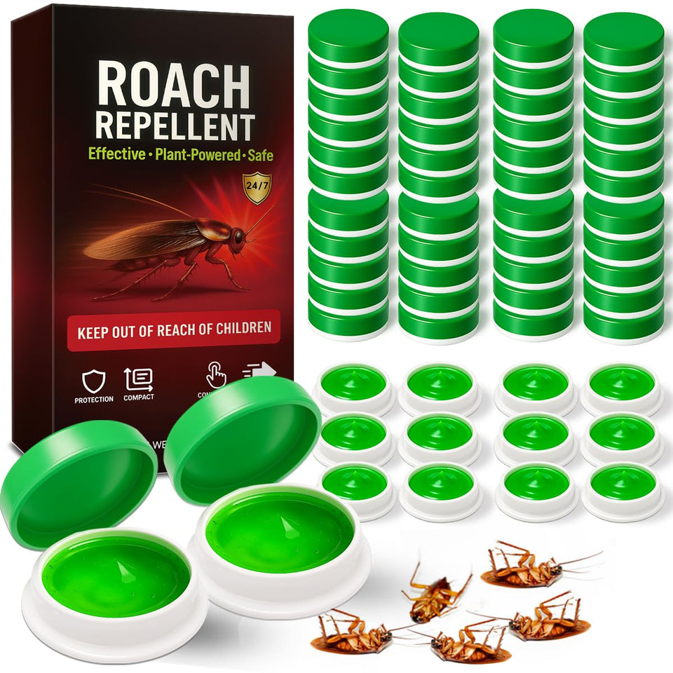 COOMLY 80-pack roach bait packaging shows enhanced attractant for indoor control.