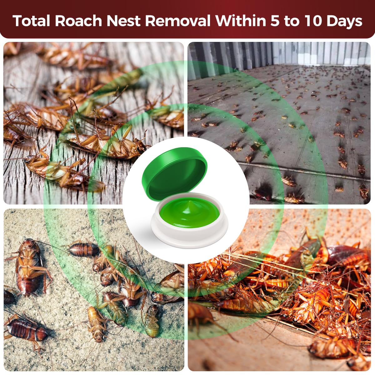 COOMLY roach bait gel dots close-up in a station to attract roaches.