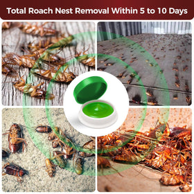 COOMLY roach bait gel dots close-up in a station to attract roaches.