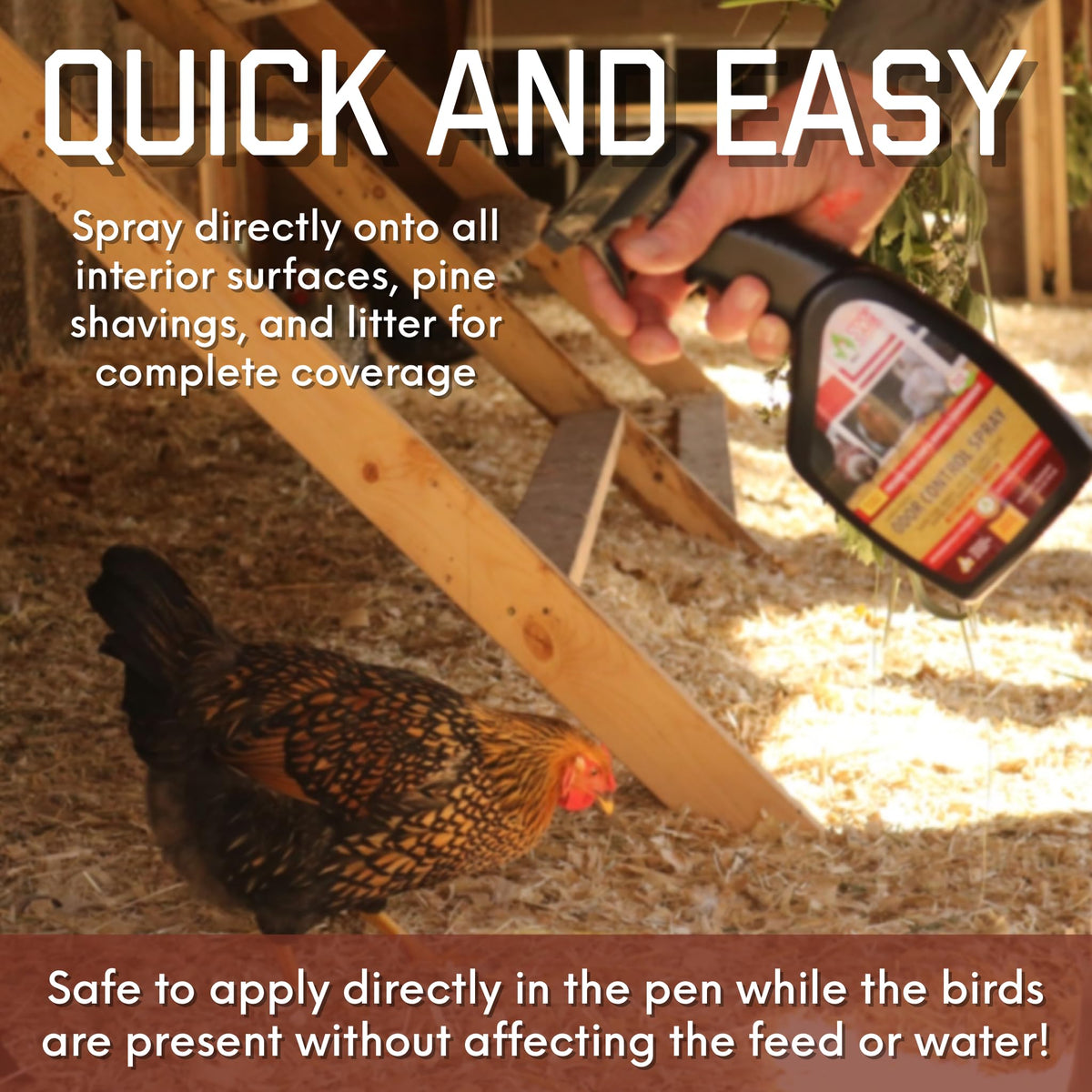 Coop Care Chick Fresh brooder area ready for chick comfort and odor control