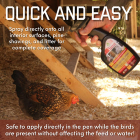 Coop Care Chick Fresh brooder area ready for chick comfort and odor control