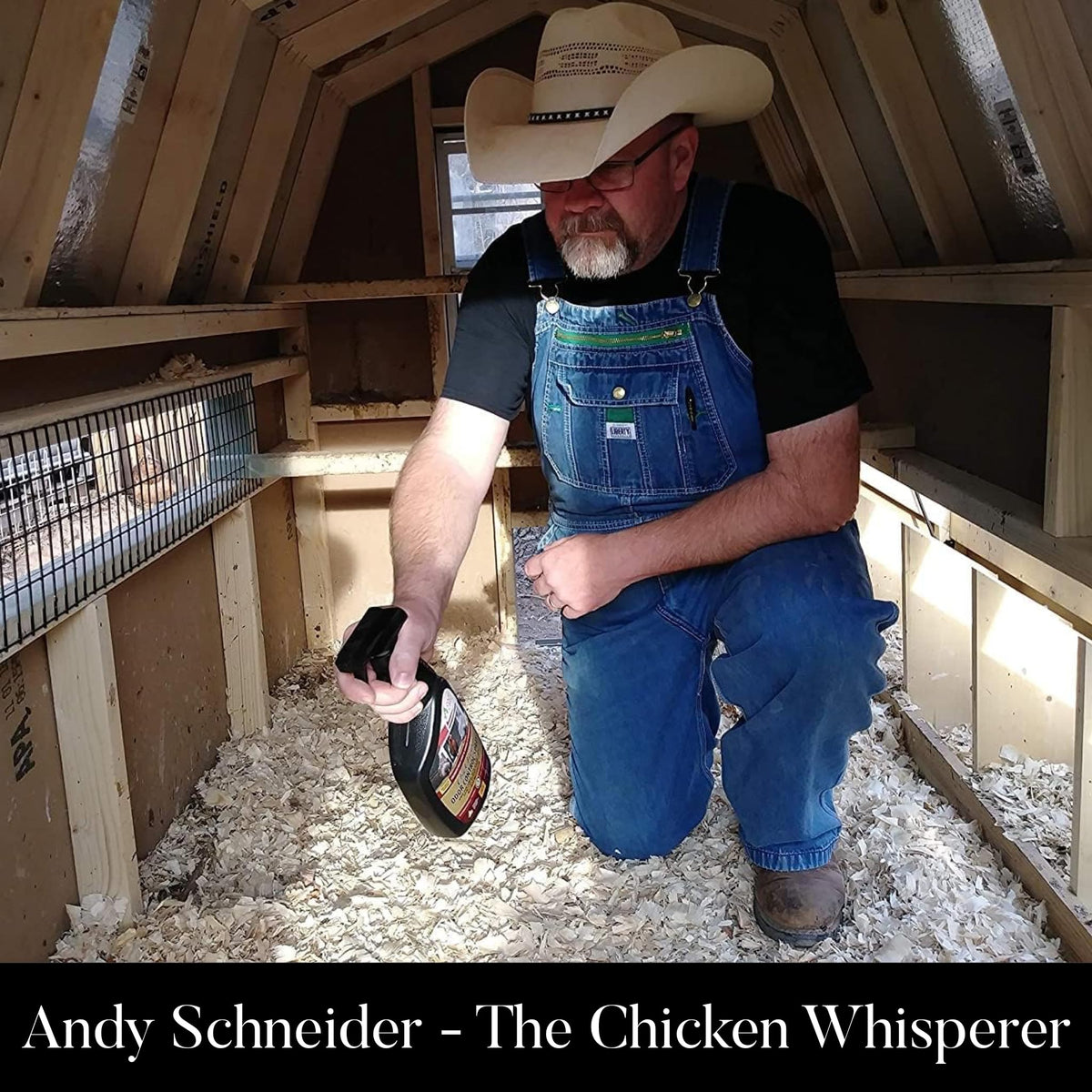 Coop Care Chick Fresh chicken run in-use demonstrates versatile odor control