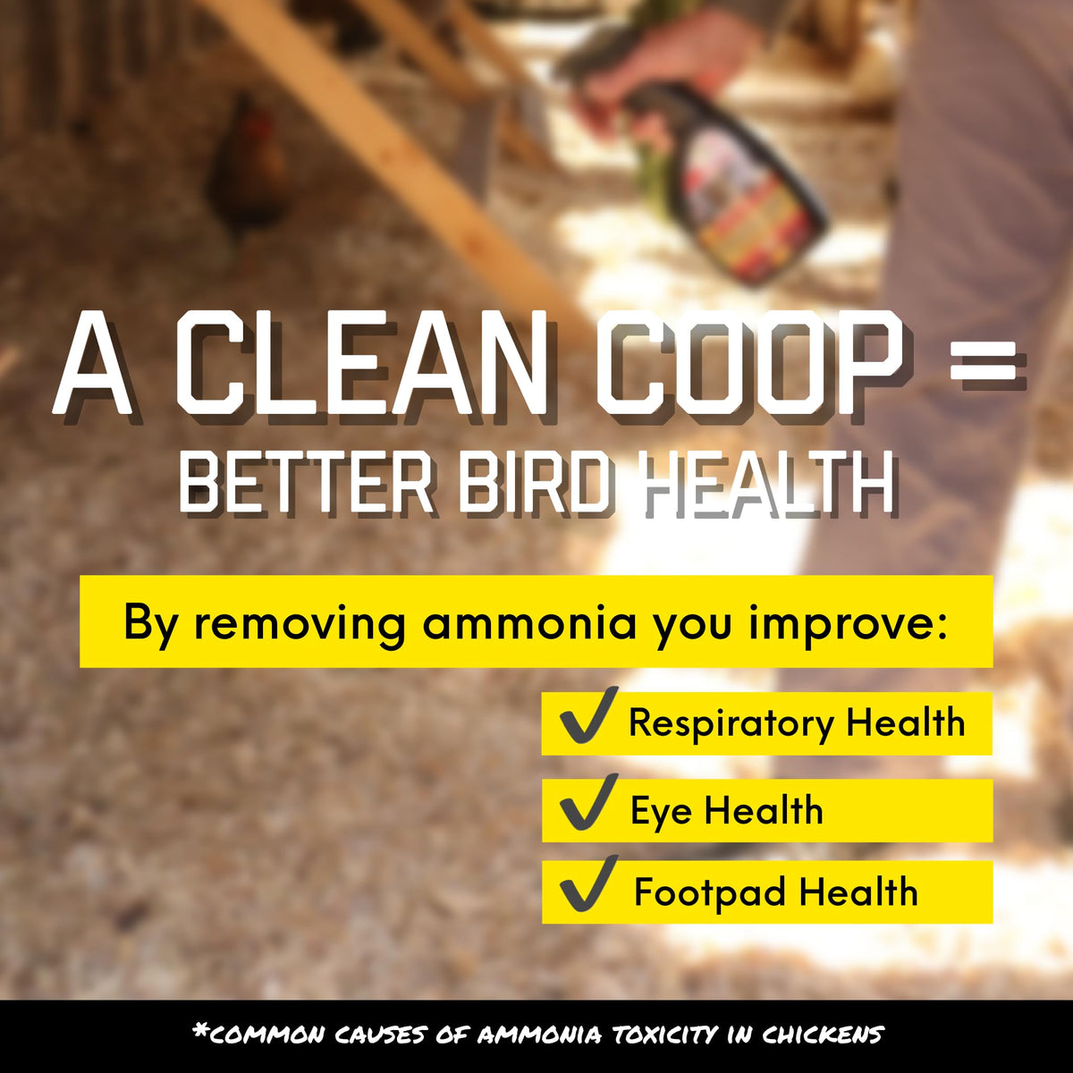 Coop Care Chick Fresh coop interior image suggests a fresh, breathable coop environment