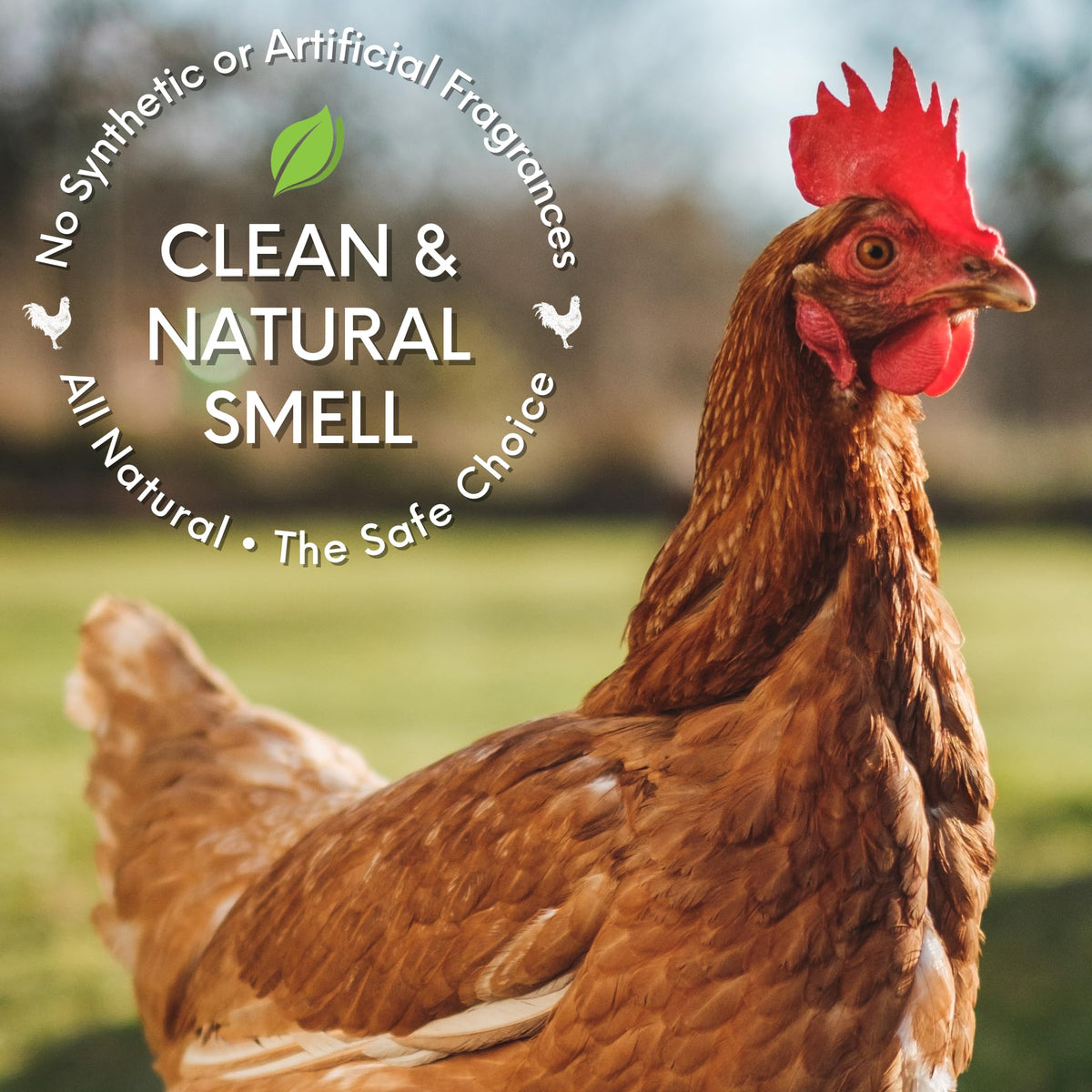Coop Care Chick Fresh spray-action photo shows odor reduction in poultry spaces