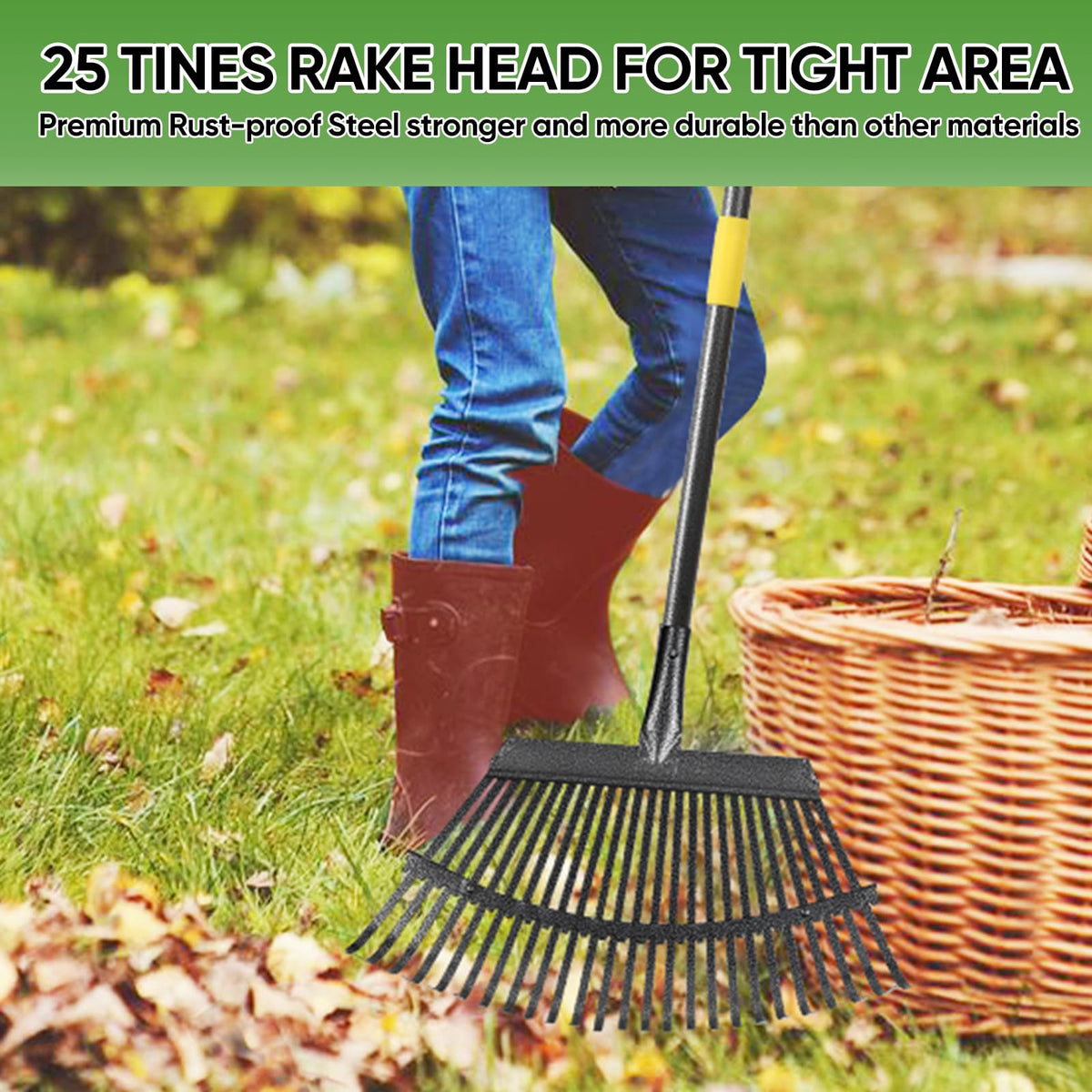 Coopvivi rake features 25 stainless steel tines for thorough debris collection.