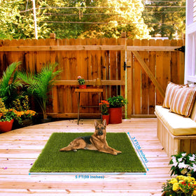 CooRug dogs-friendly grass supports safe play for pets and kids.