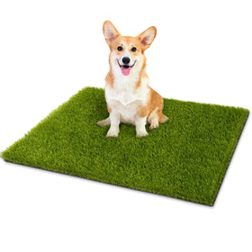 CooRug fake grass 30x17 size for small pets indoors or balconies