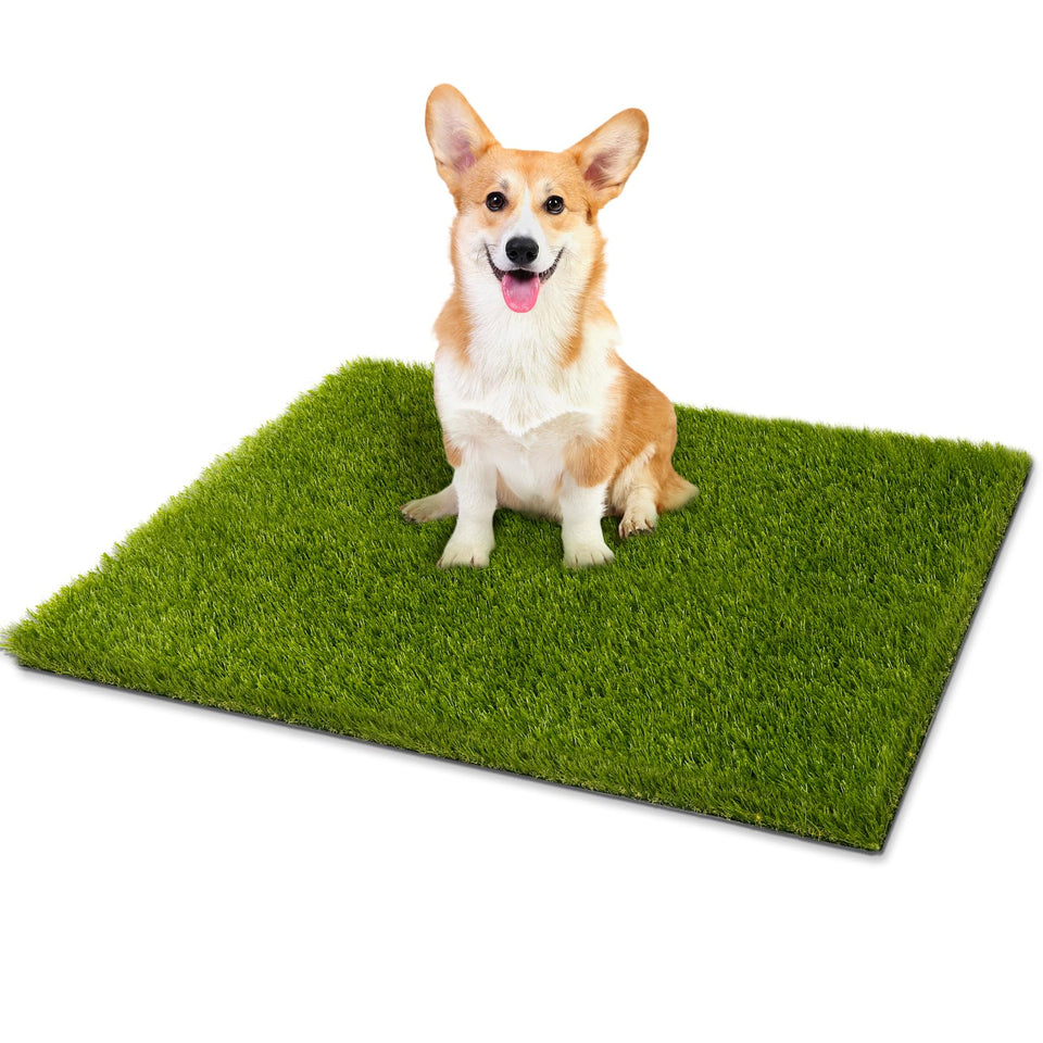 CooRug fake grass 30x17 size for small pets indoors or balconies