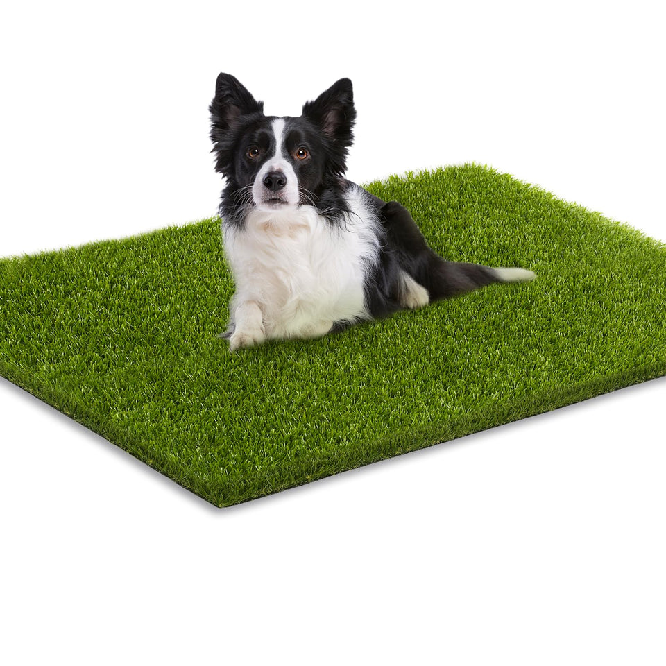 CooRug fake grass realistic design for indoor and outdoor spaces, pets friendly.