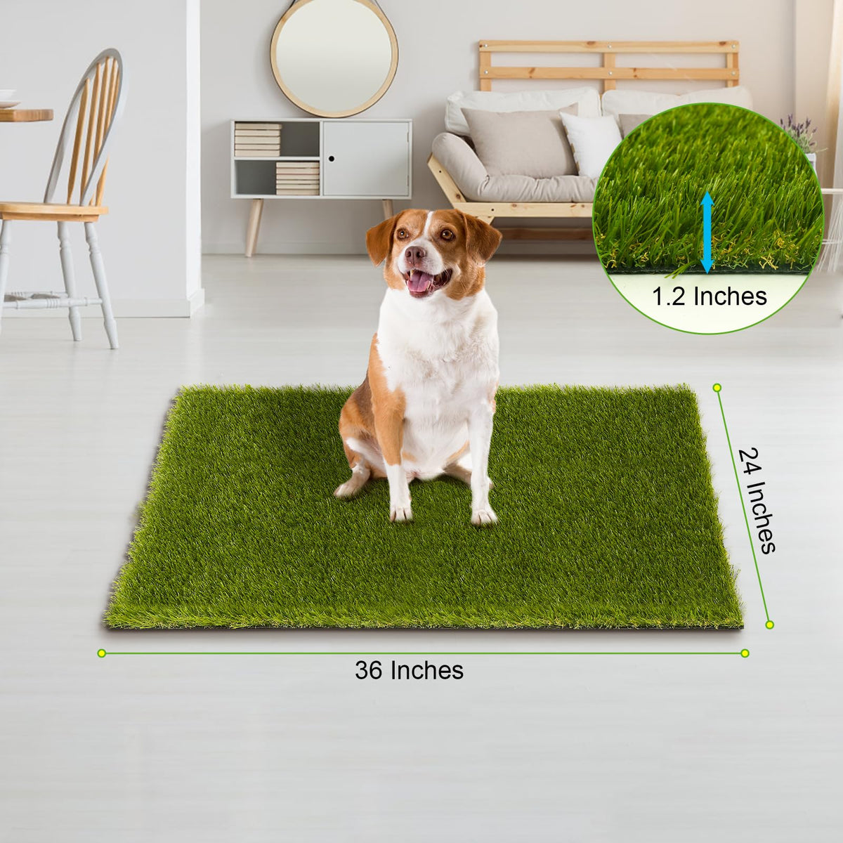 CooRug fake grass indoor-outdoor mat highlights durable, low-maintenance greenery.