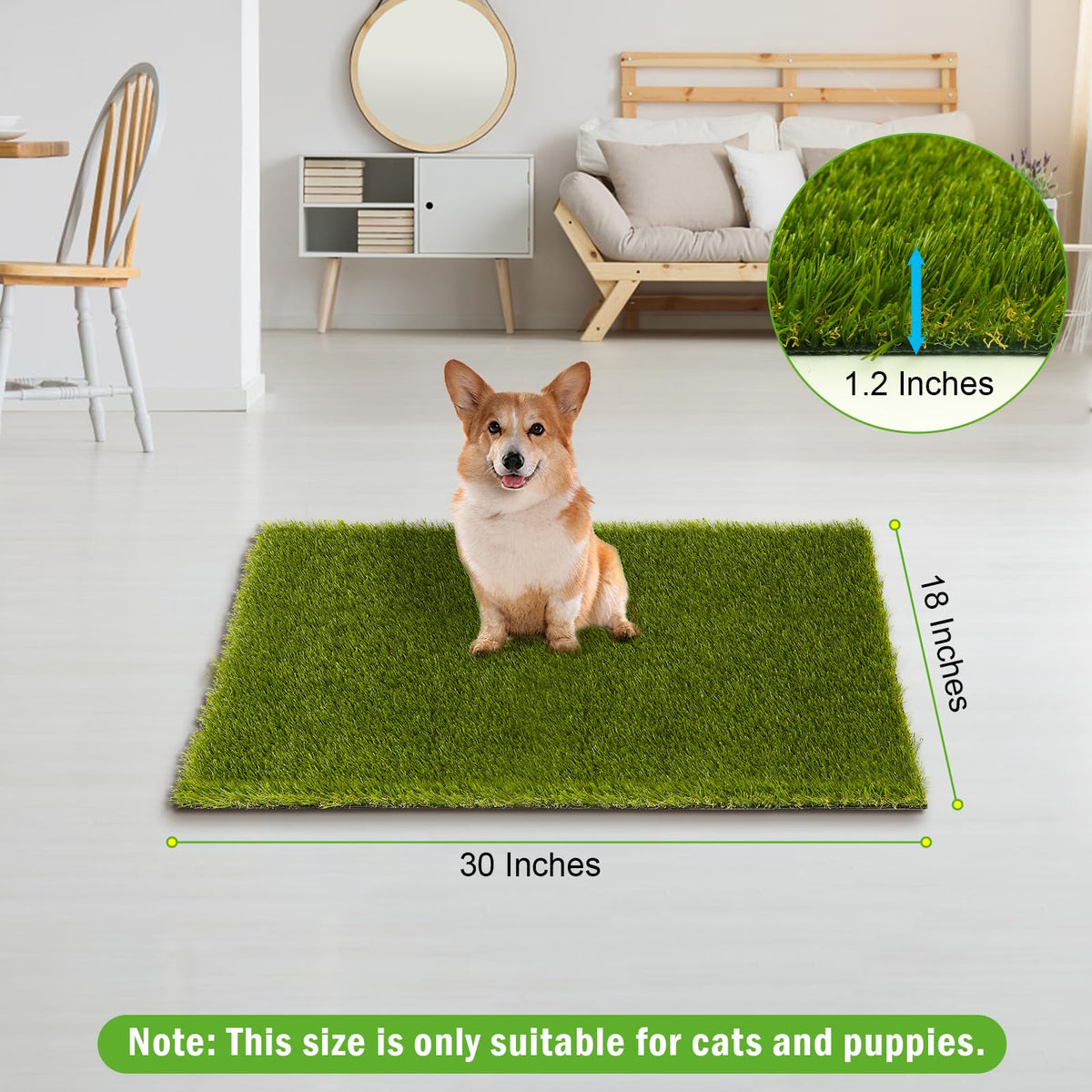 CooRug fake grass with a realistic design for natural-looking turf