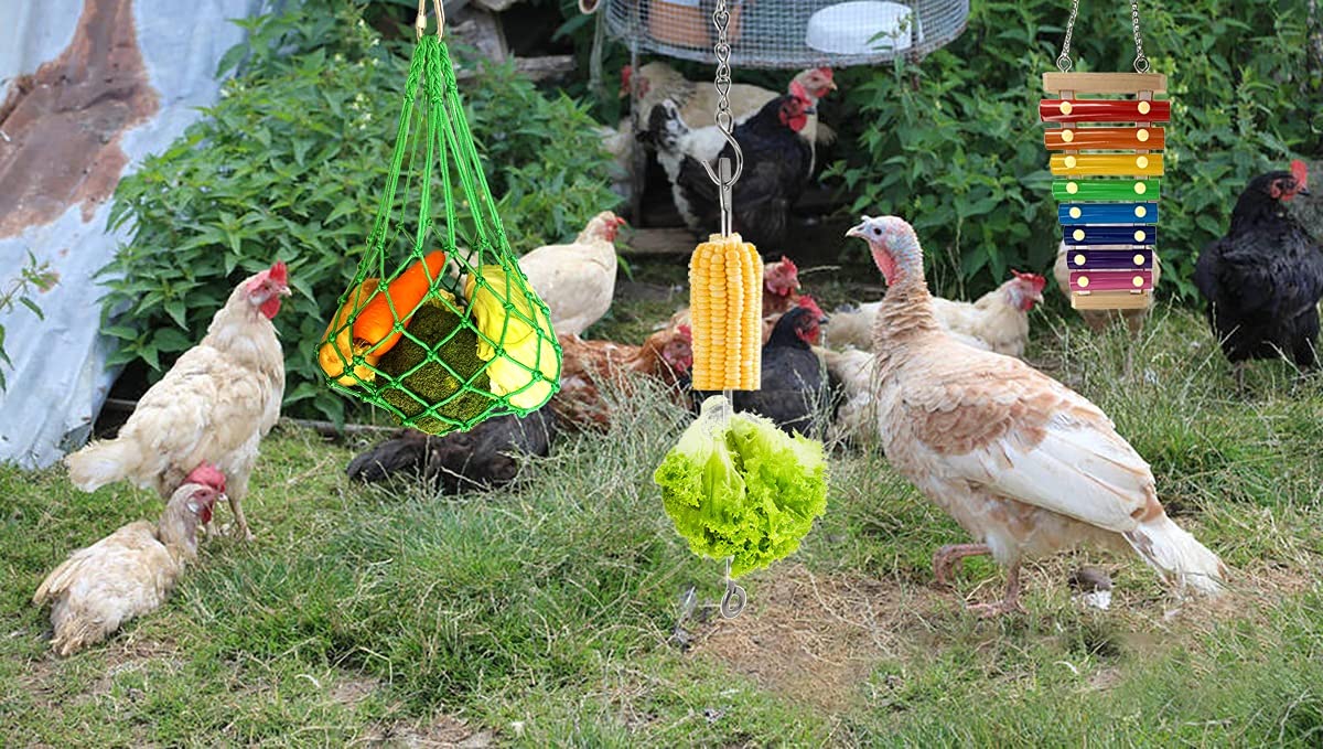 CooShou chicken veggies skewer encourages foraging with fresh produce