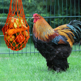 CooShou Durable Nylon Chicken Treat Pocket in Action.
