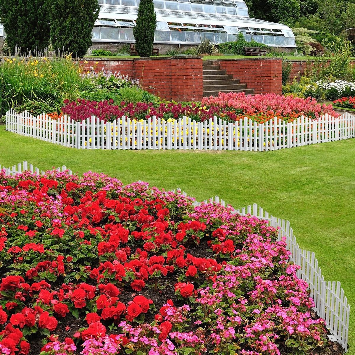 CooTentler white border adds crisp contrast to blooming plants