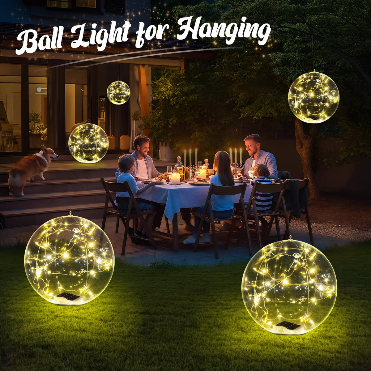 Cootway pond lights for weddings create subtle illumination along water edges.
