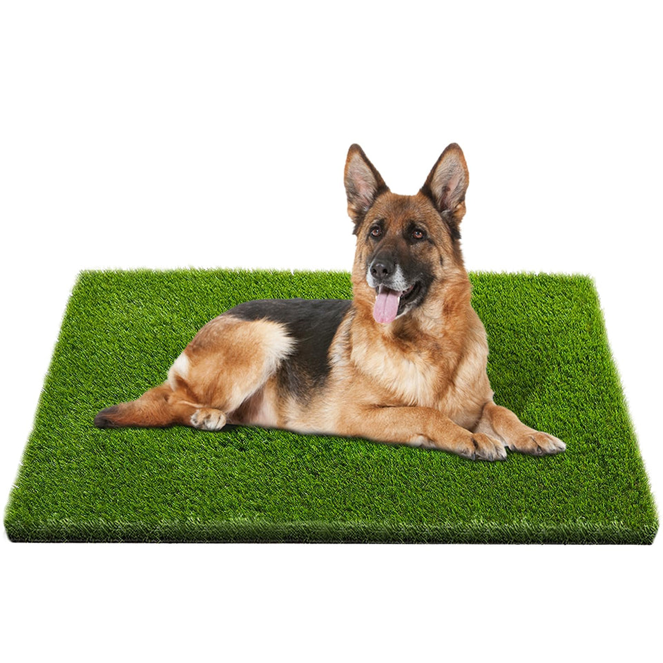 CooZero artificial grass mat with dog potty area and plush blades for pet comfort