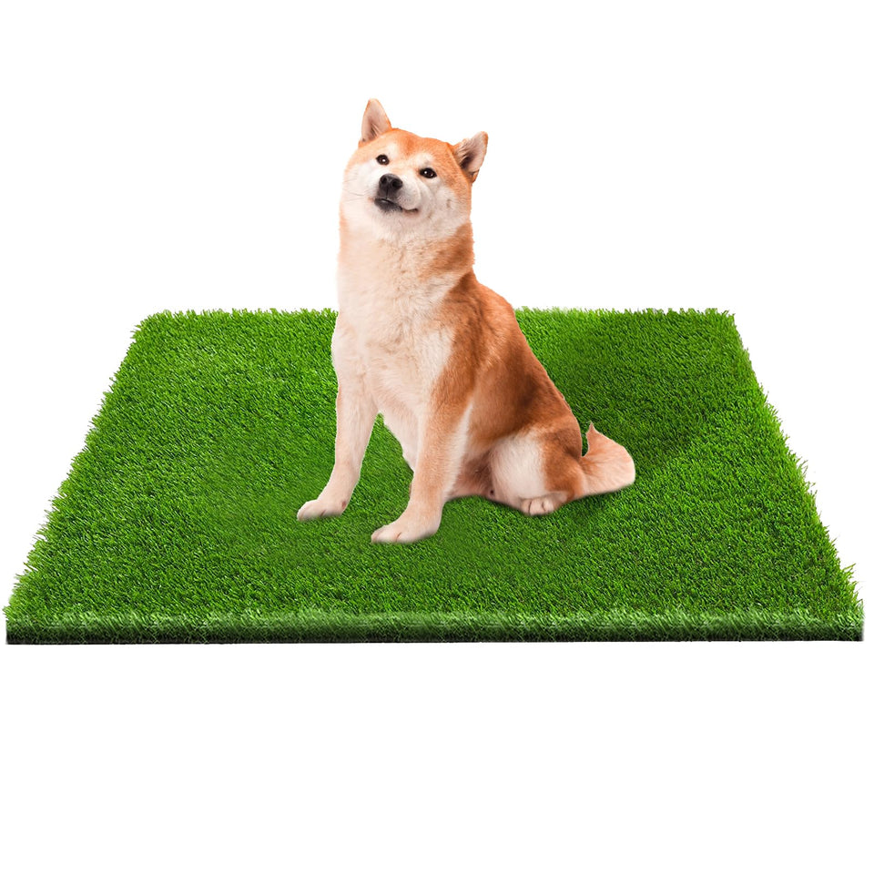 CooZero dog grass mat, outdoor turf for play and drainage benefits.