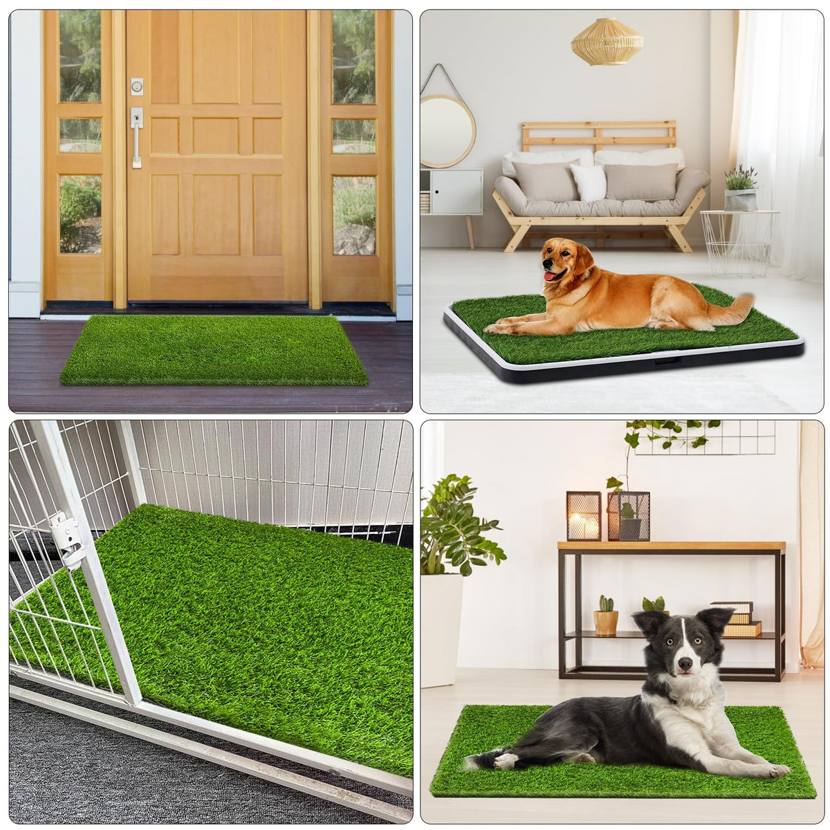 CooZero soft turf feels natural under paws for comfortable playtime.