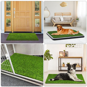 CooZero soft turf feels natural under paws for comfortable playtime.