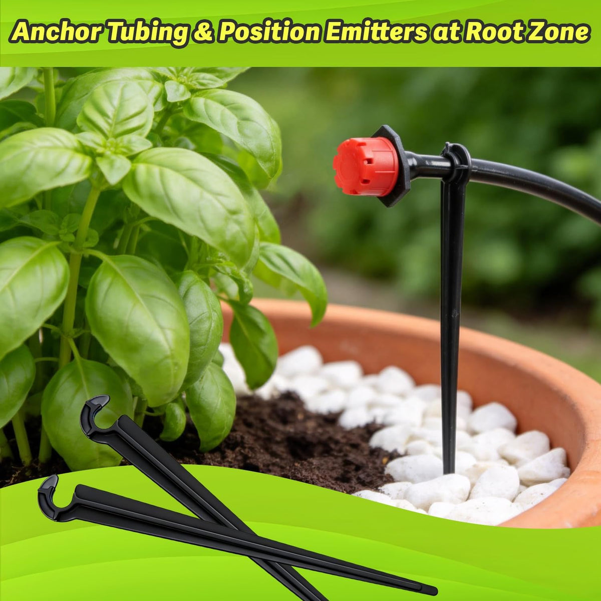 Copadri drip line stake anchors tubing near plant roots for precision.